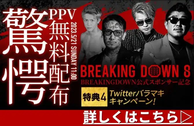 ブレイキングダウンに賭ける際のビーベット特典4