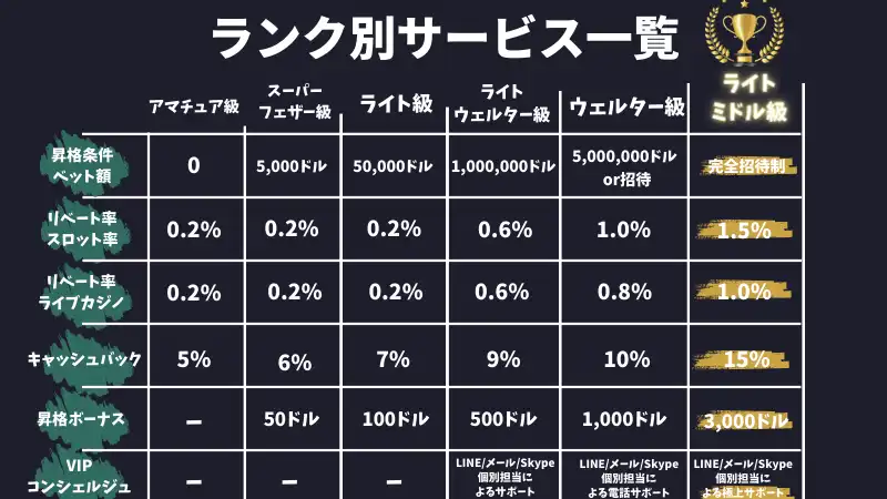 ベットランク解説 ボーナス 口コミ評判 入出金方法 VIPランク