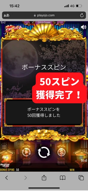 プレイオジョ 受け取り方6