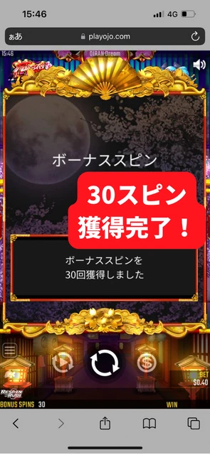 プレイオジョ 受け取り方9