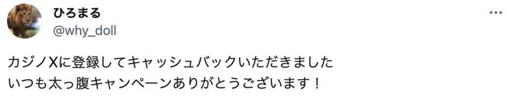 カジノエックス 口コミ2