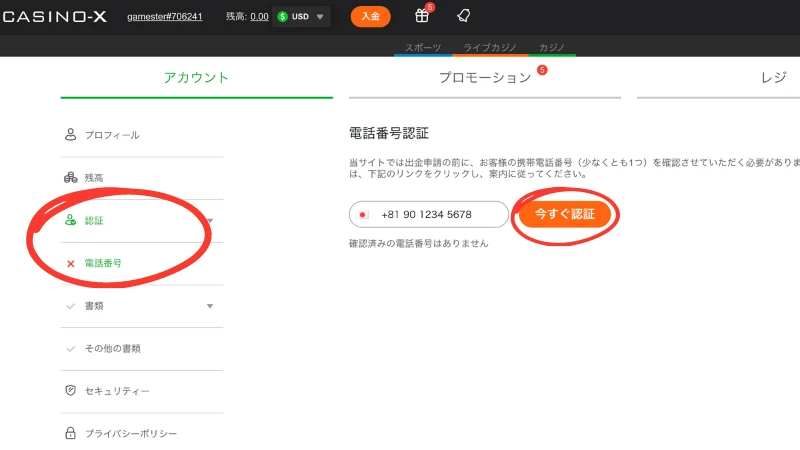 カジノエックス 入金不要ボーナス 受け取り方