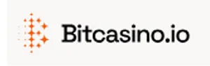ビットカジノ　アイコン