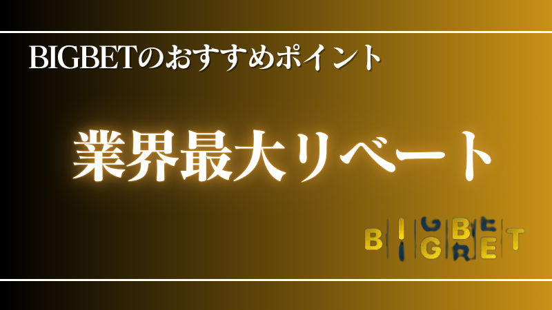 オンラインカジノ おすすめポイント　BIGBET
