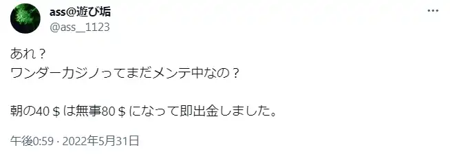 ワンダーカジノ 徹底解説