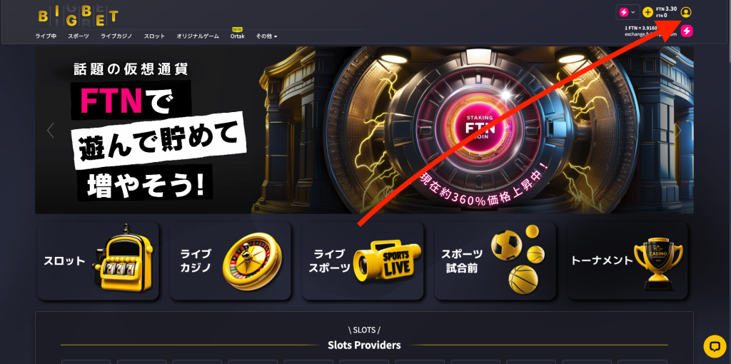 ビックベットカジノ FTNステーキング