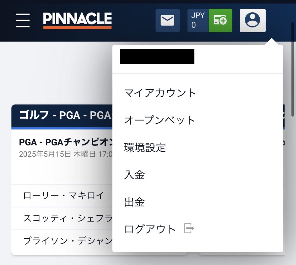 ピナクルカジノ 入出金方法