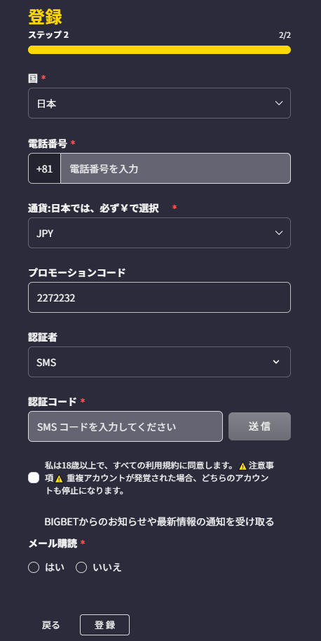 ビッグベットカジノ 登録方法3