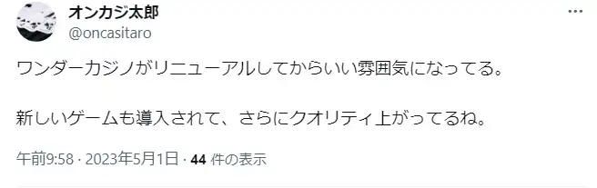 ワンダーカジノ 徹底解説