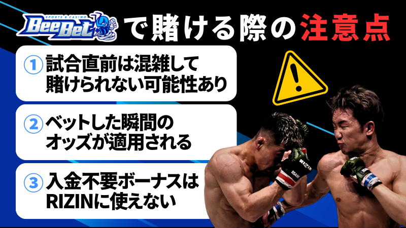 ビーベット RIZIN 注意