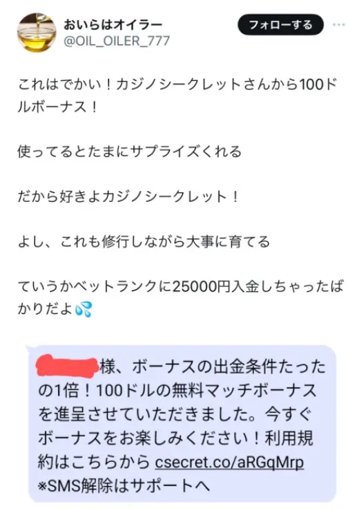 カジノシークレット ボーナス1