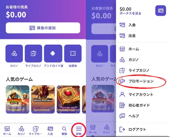 カジノデイズ 入金
