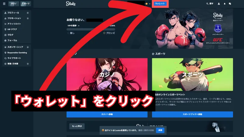 ステークカジノ Stake Casino 入金方法②