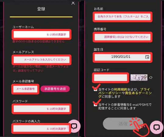 ミラクルカジノの登録方法2