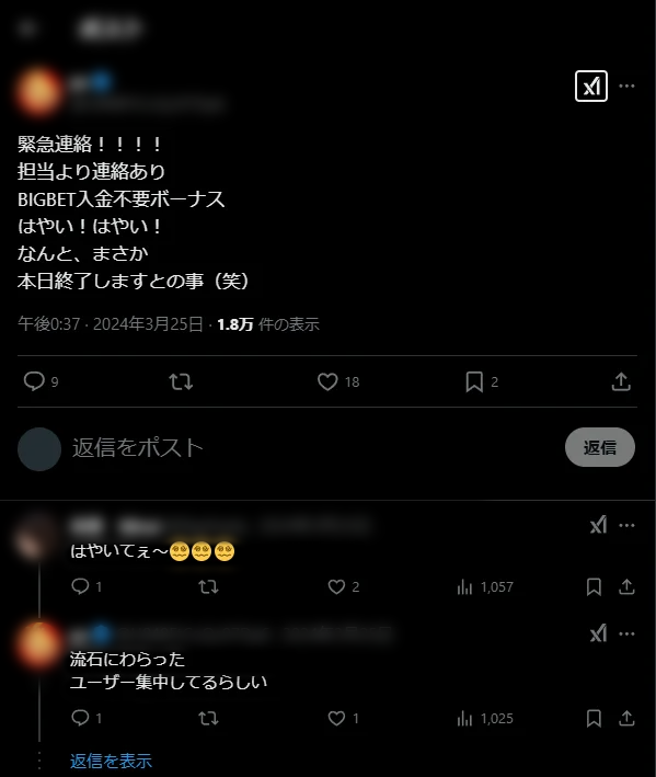 ビッグベットカジノ　口コミ