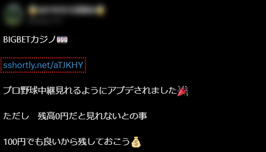 ビッグベットカジノ　口コミ