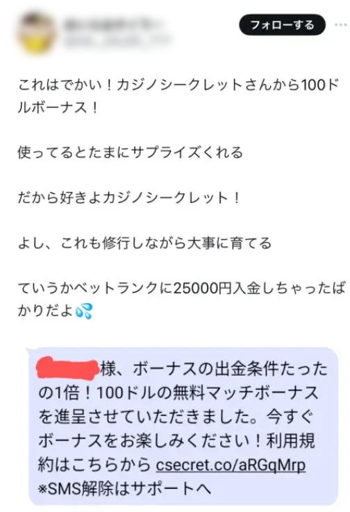 カジノシークレット　口コミ
